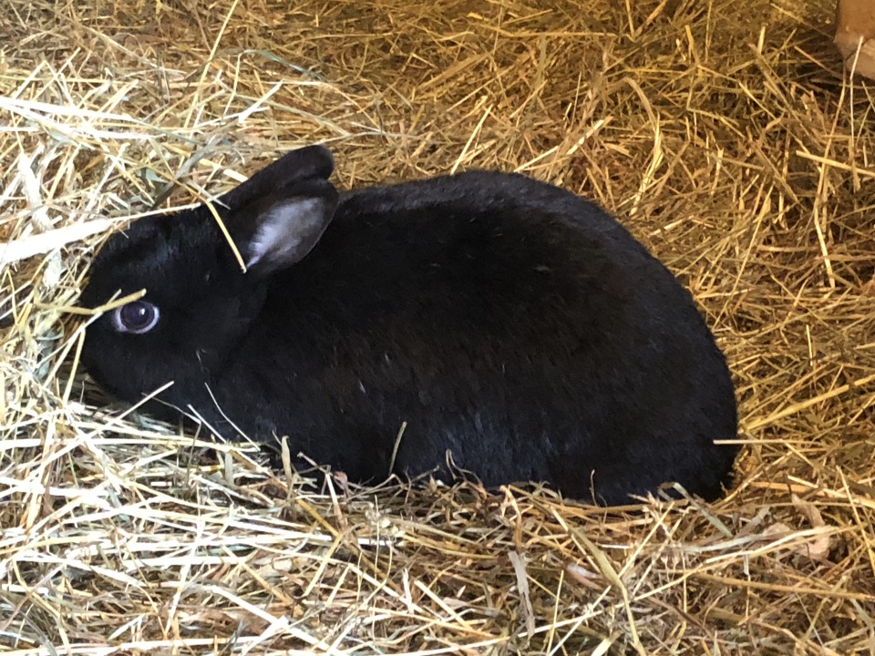 Tiergestützte Ergotherapie Taucha